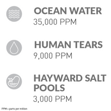 Load image into Gallery viewer, Pool Upgrade - AquaRite® Salt Chlorinator